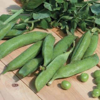 Legacy Peas Thumbnail